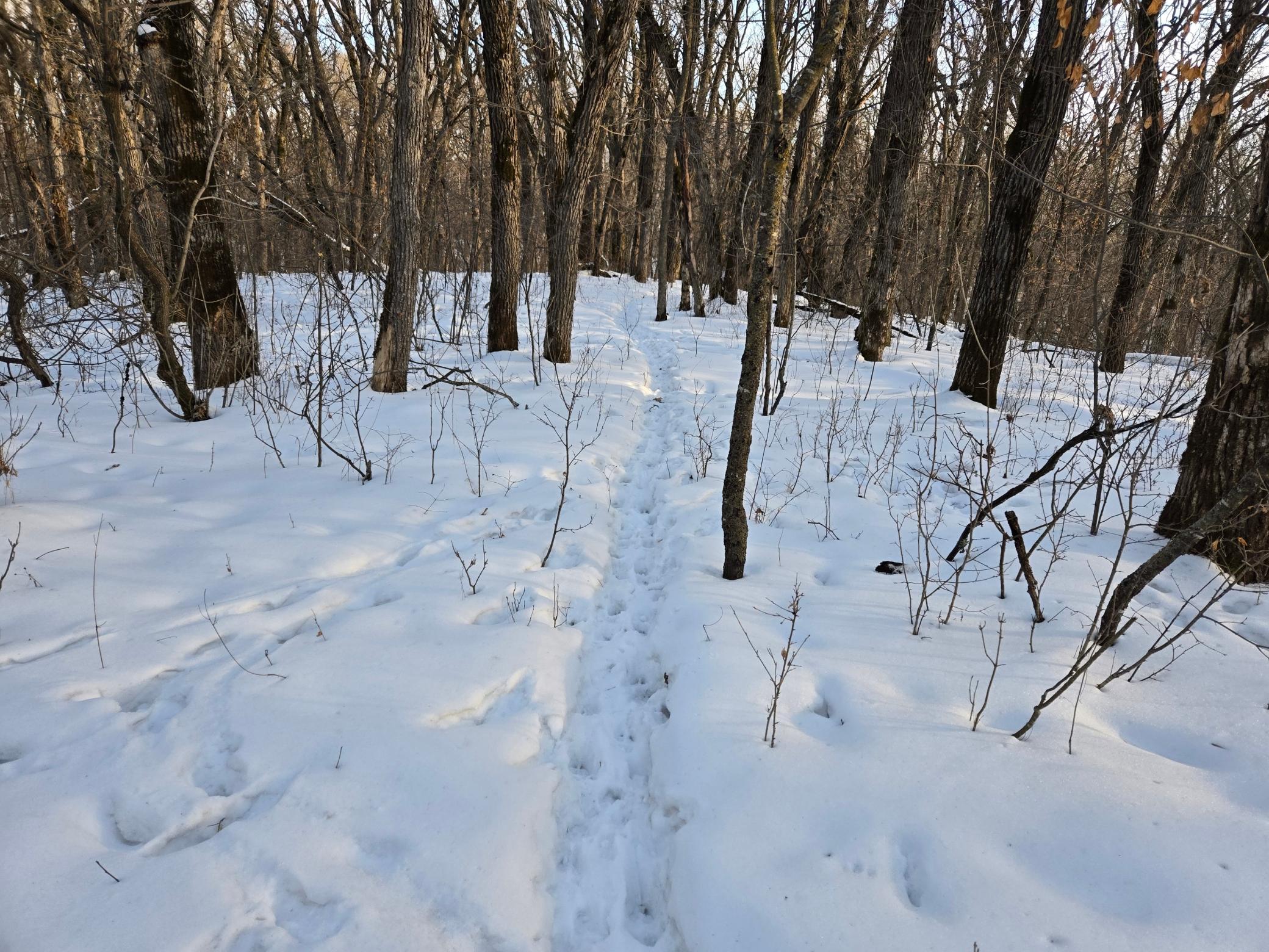 20250128_153506.jpg