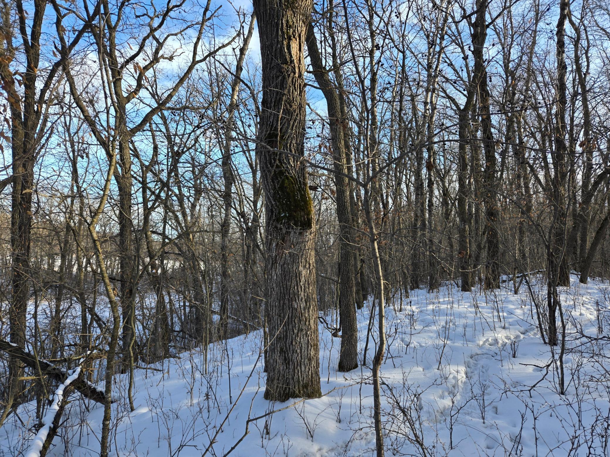 20250128_152304.jpg