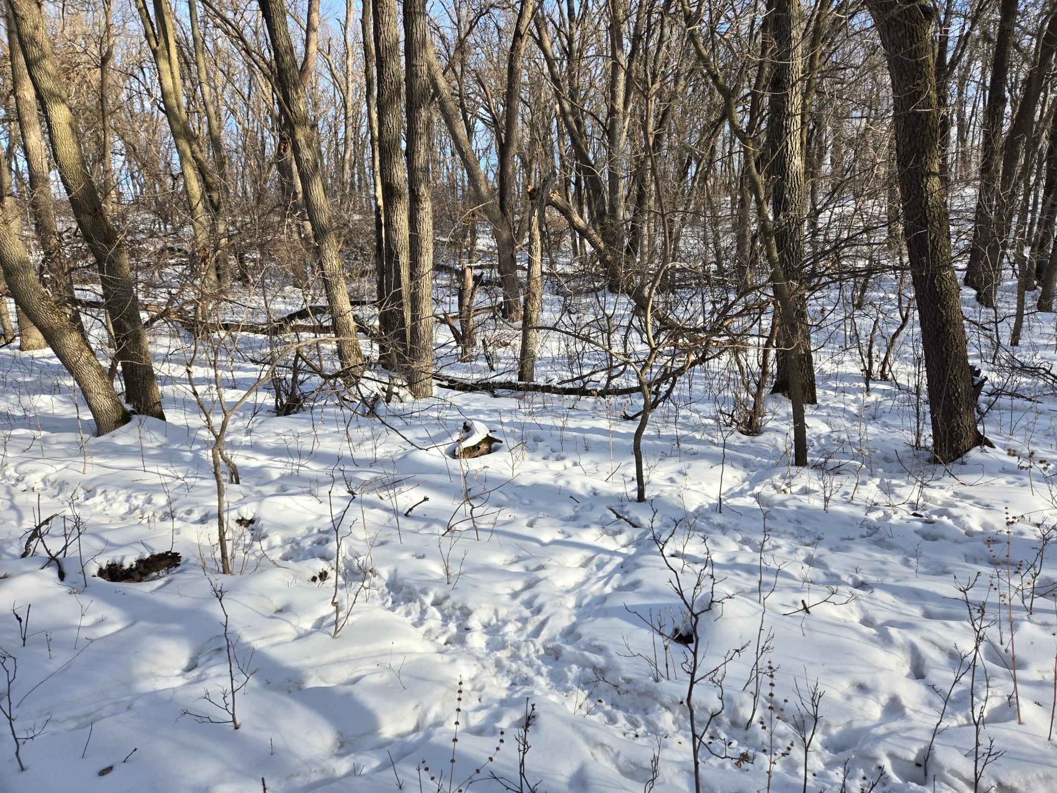 20250128_150030.jpg