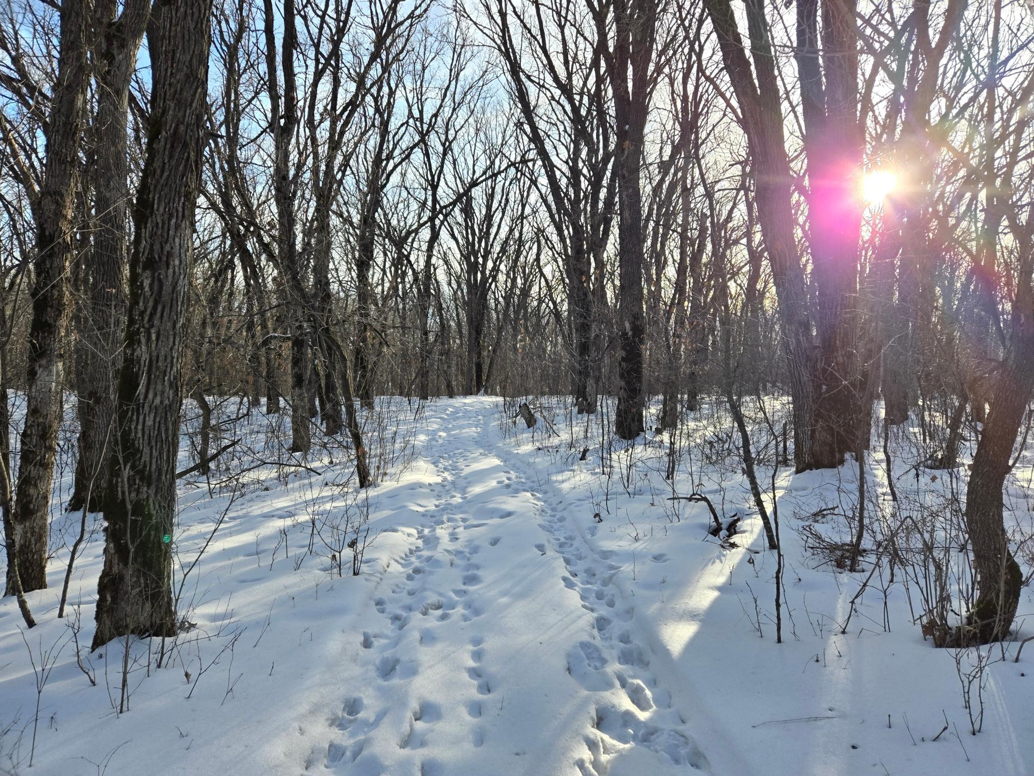 20250128_153247.jpg