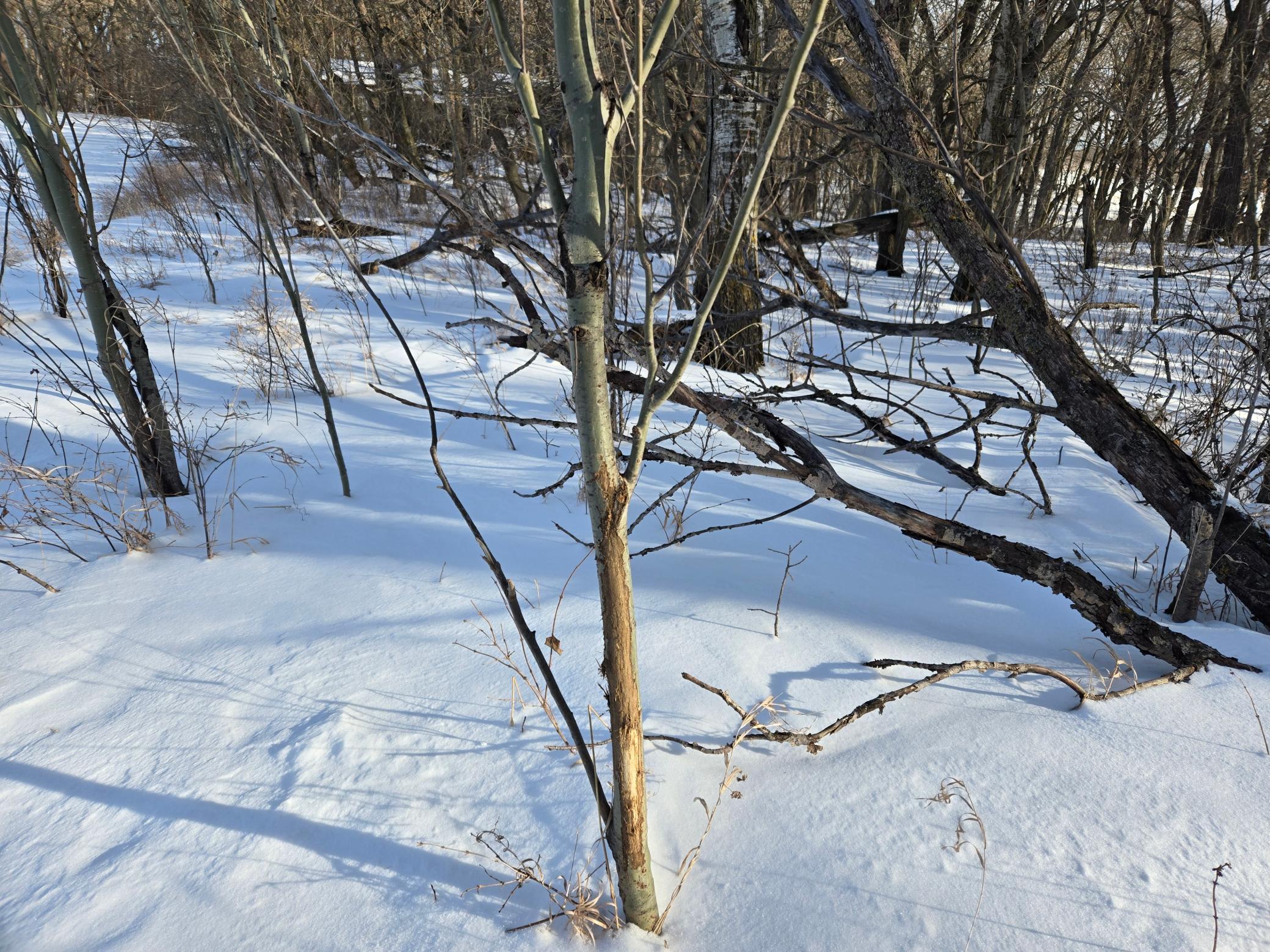 20250128_145806.jpg