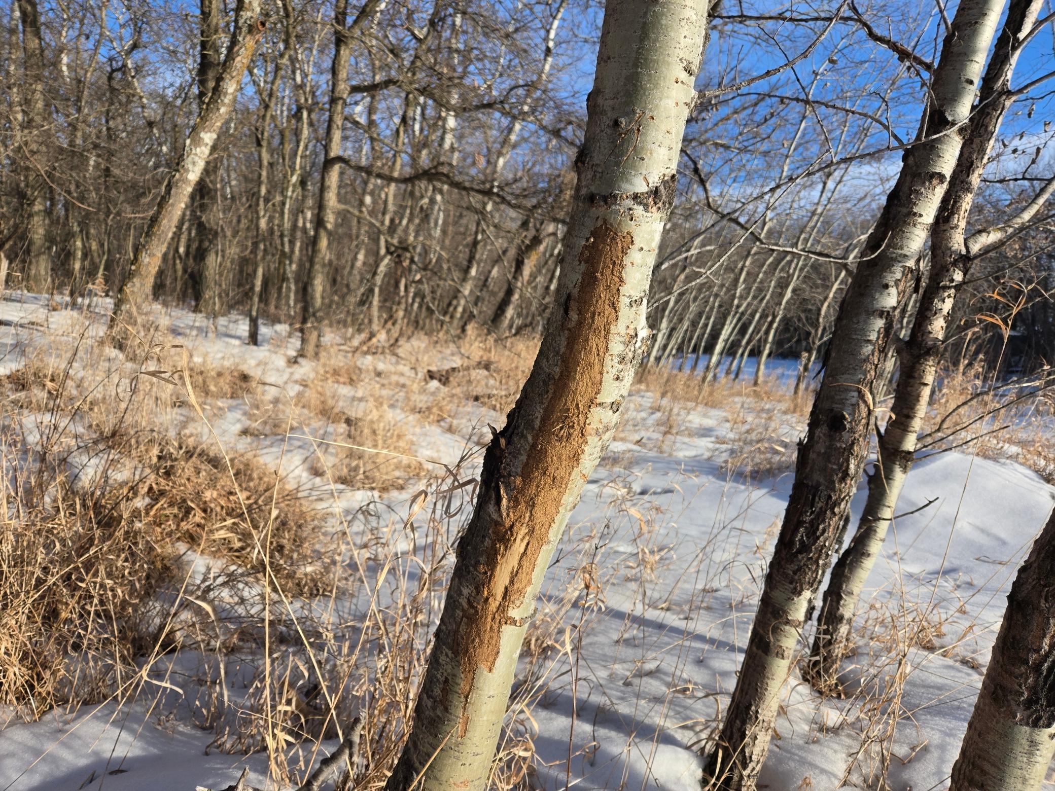 20250128_154256.jpg