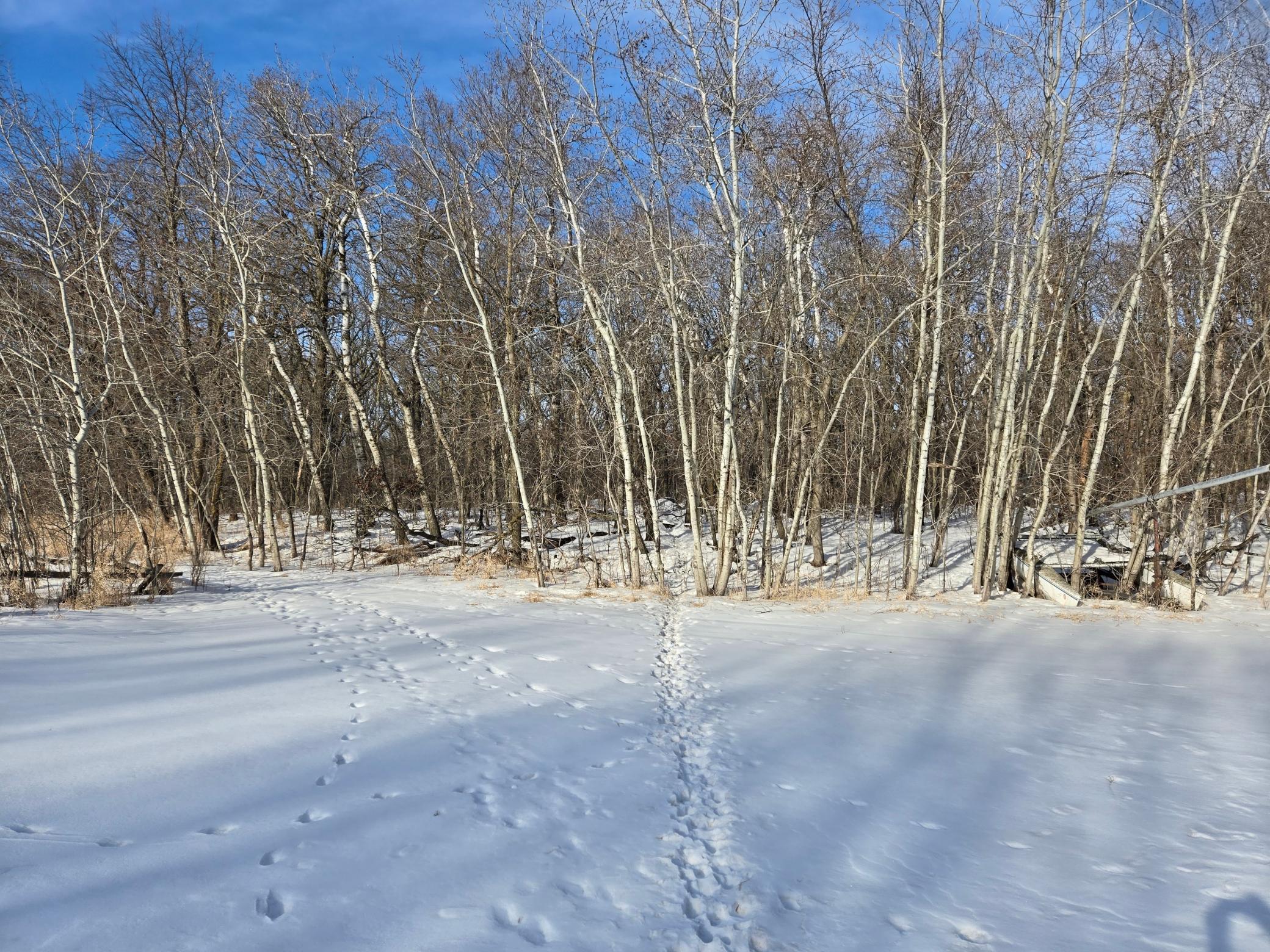 20250128_145857.jpg