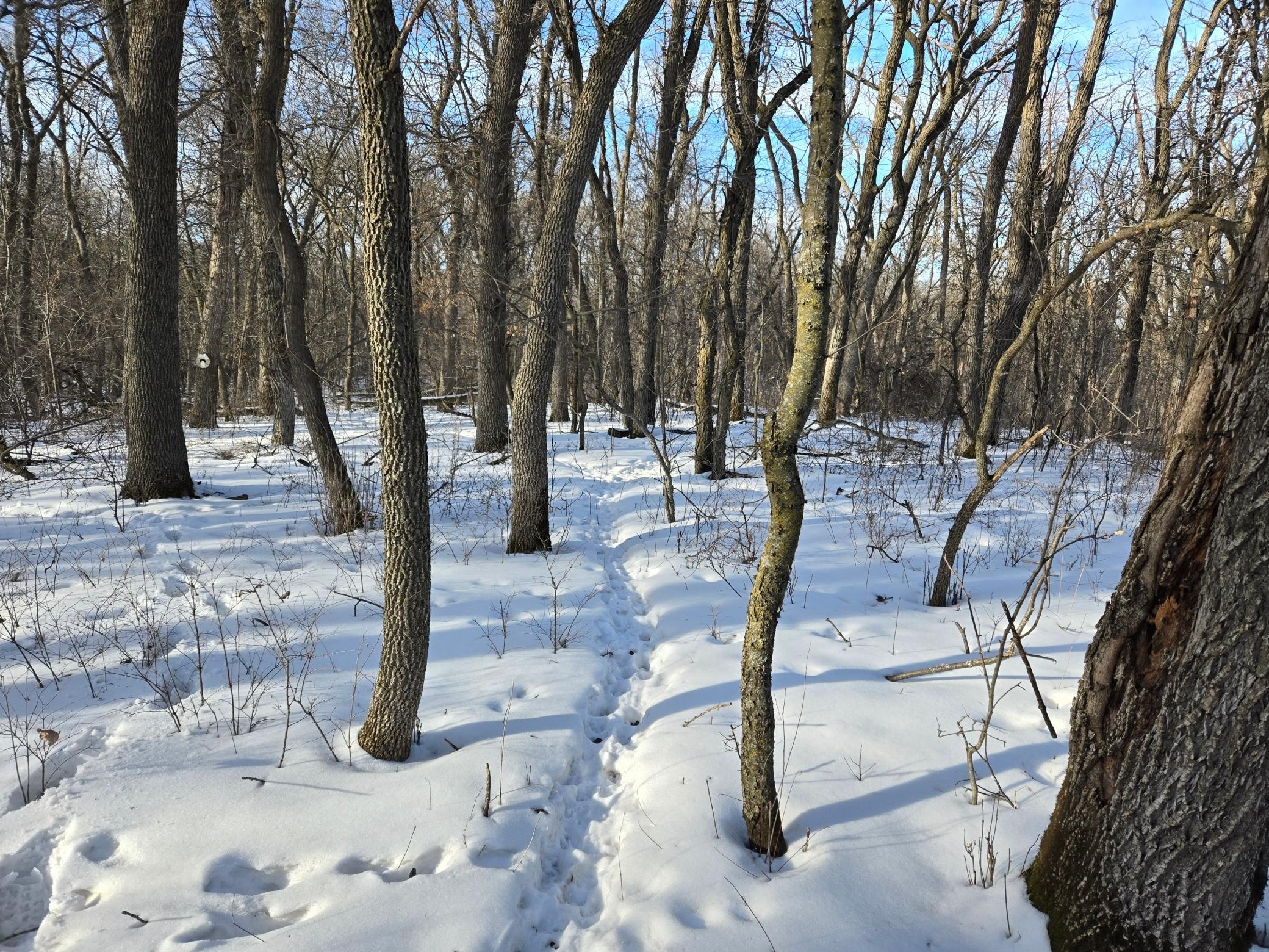 20250128_150704.jpg
