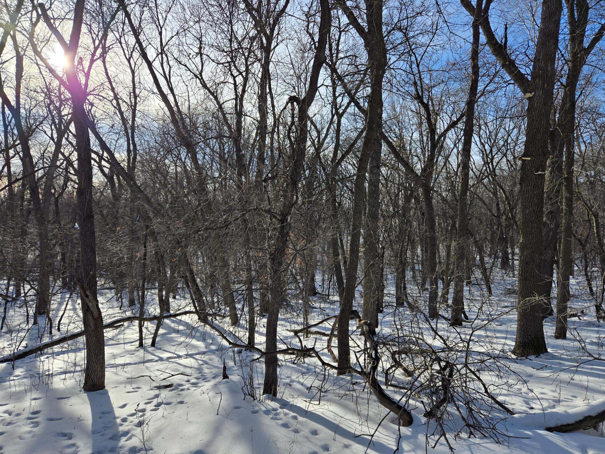 20250128_150610.jpg