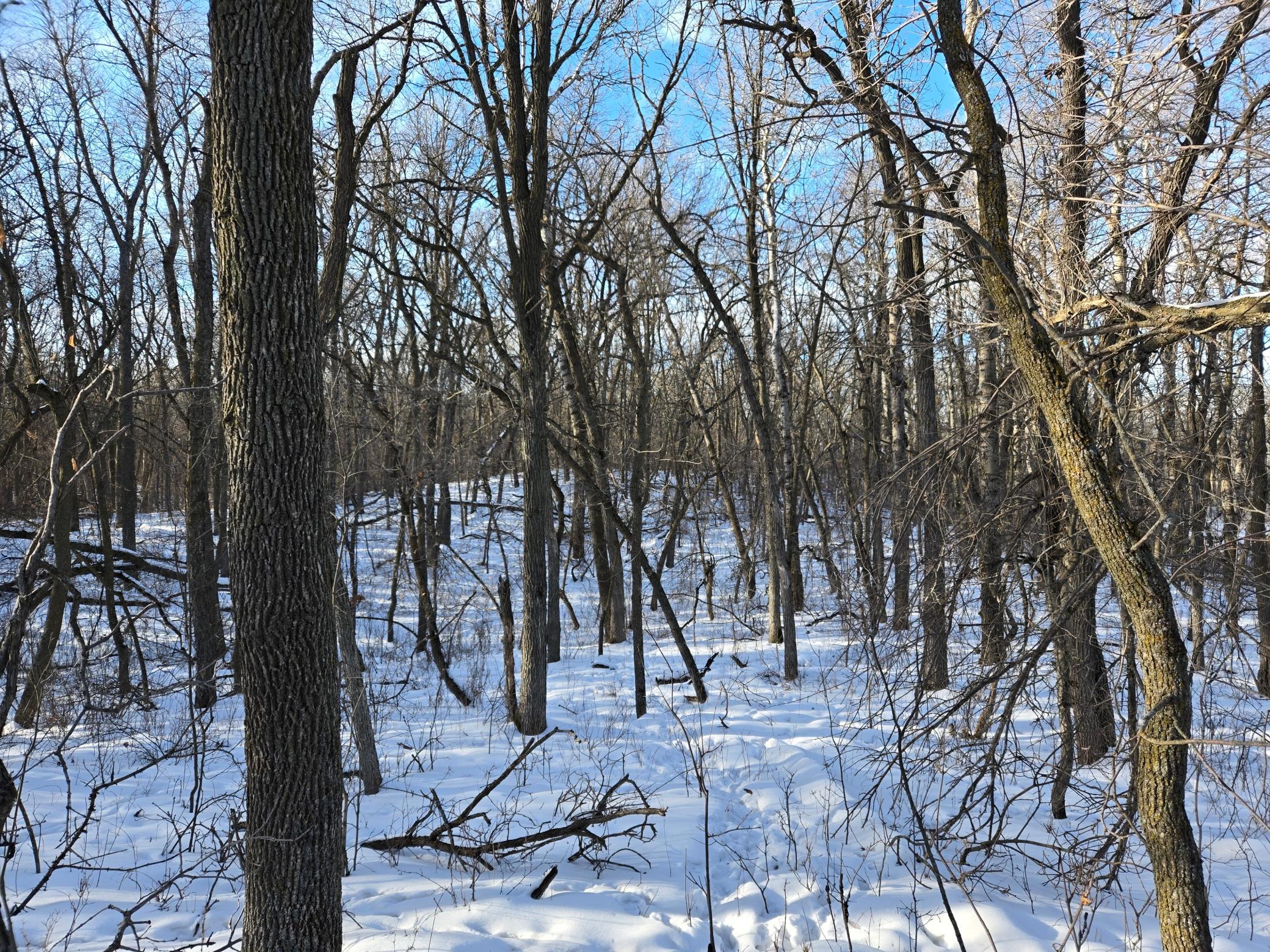 20250128_151349.jpg