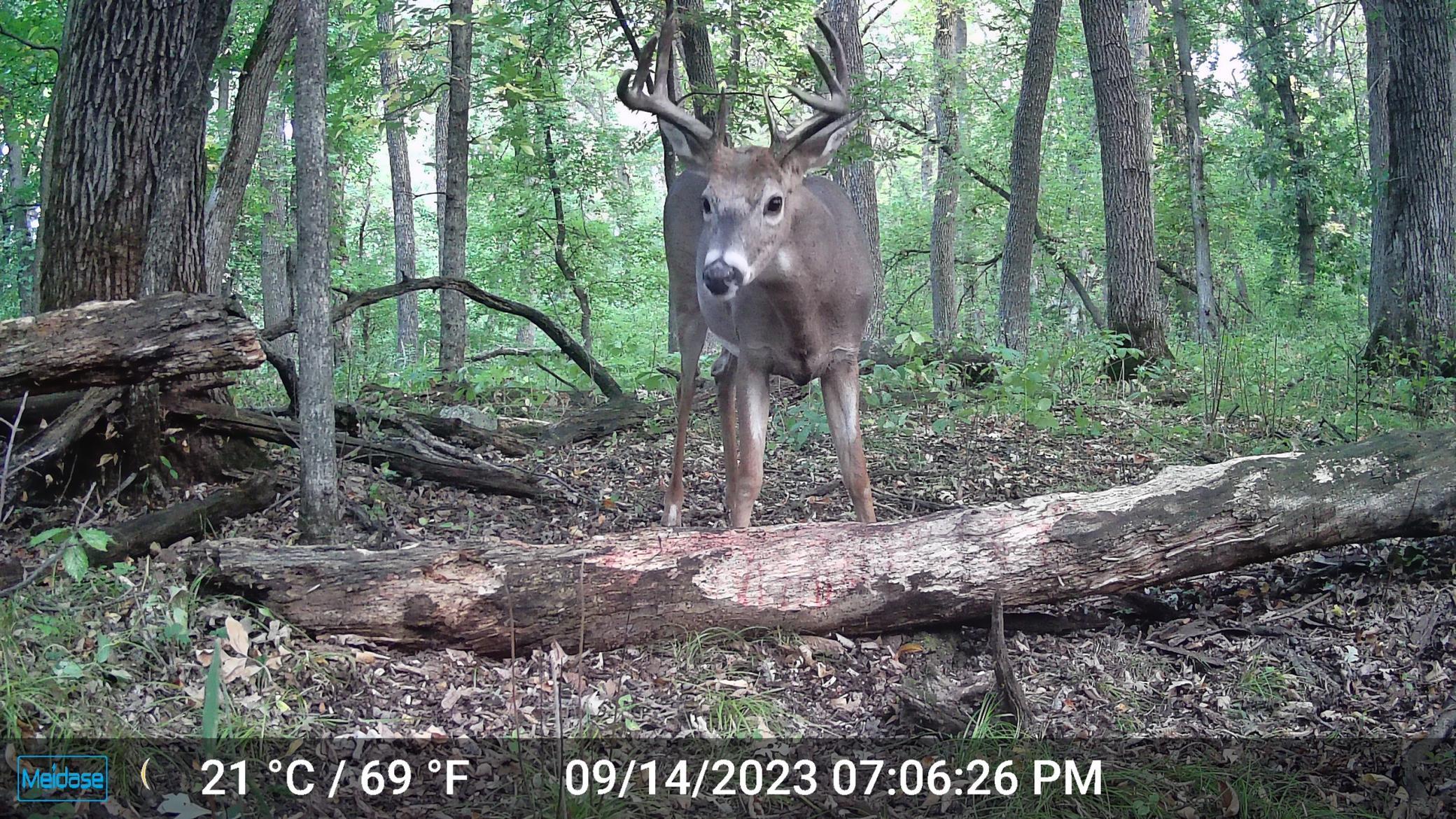 8 pt chuck.JPG