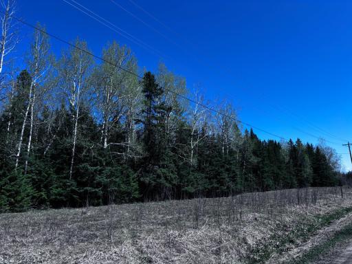 TBD Town Road 286, International Falls, MN 56649