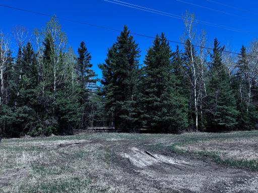 TBD Town Road 286, International Falls, MN 56649