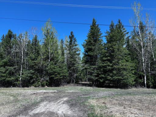 TBD Town Road 286, International Falls, MN 56649