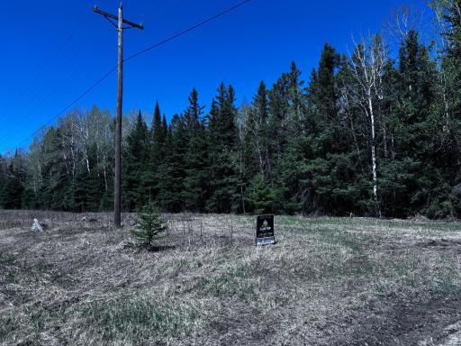 TBD Town Road 286, International Falls, MN 56649