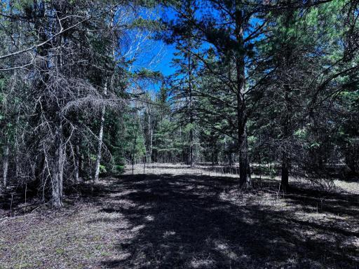 TBD Town Road 286, International Falls, MN 56649