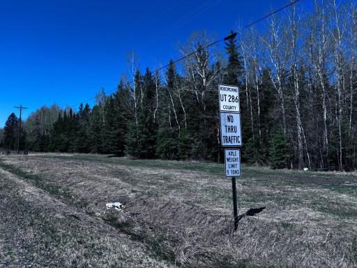 TBD Town Road 286, International Falls, MN 56649