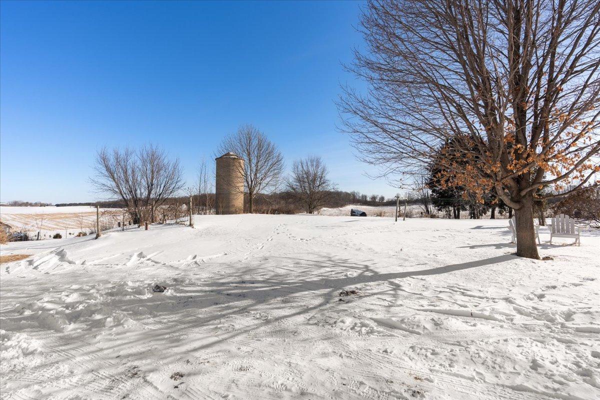 30-Backyard.jpg