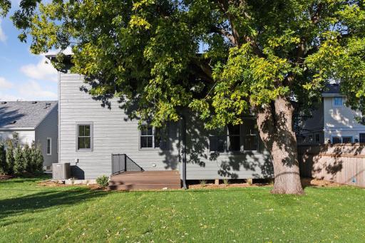 5033 William Avenue, Edina, MN 55436