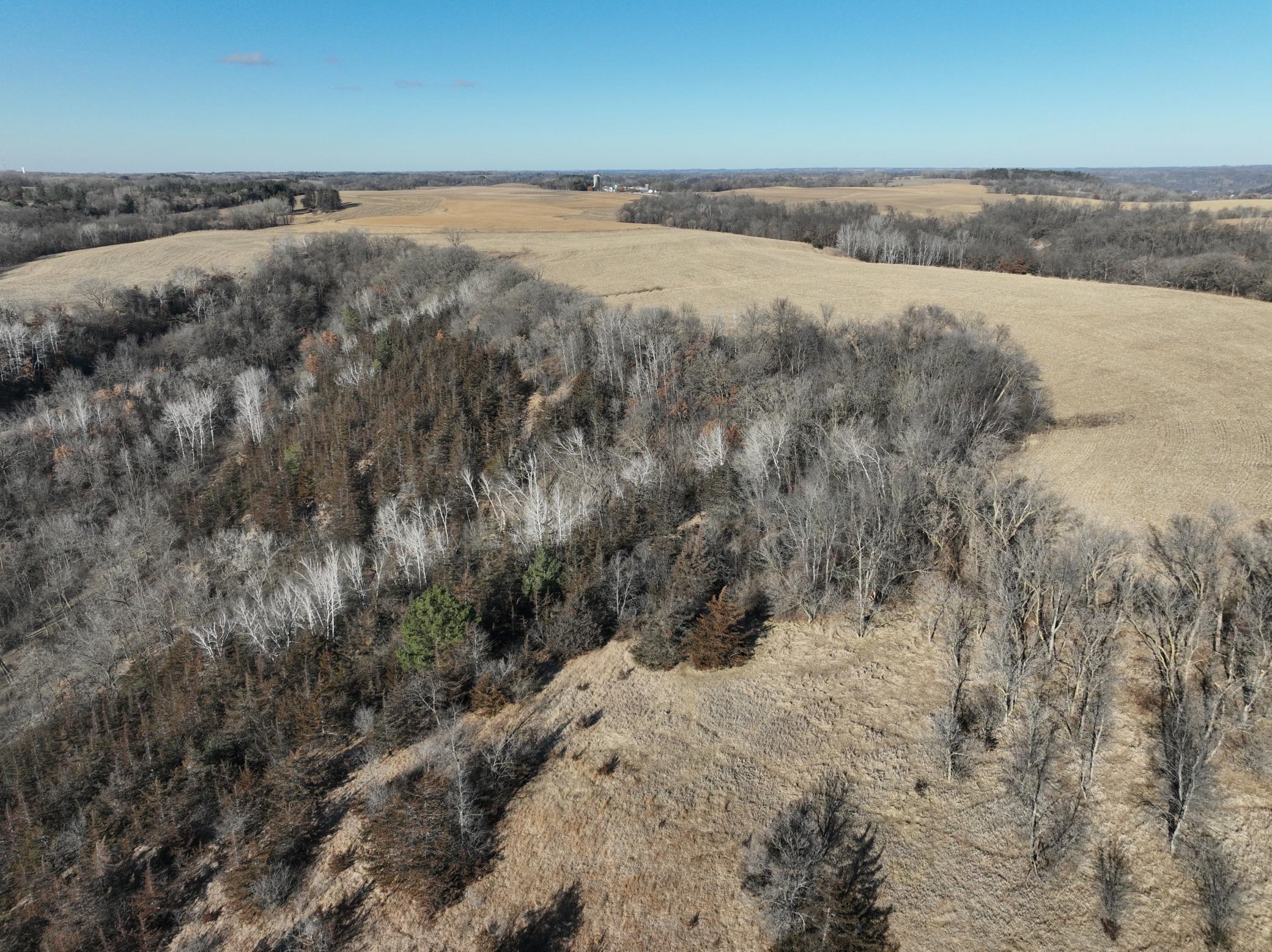 DJI_0253.JPG