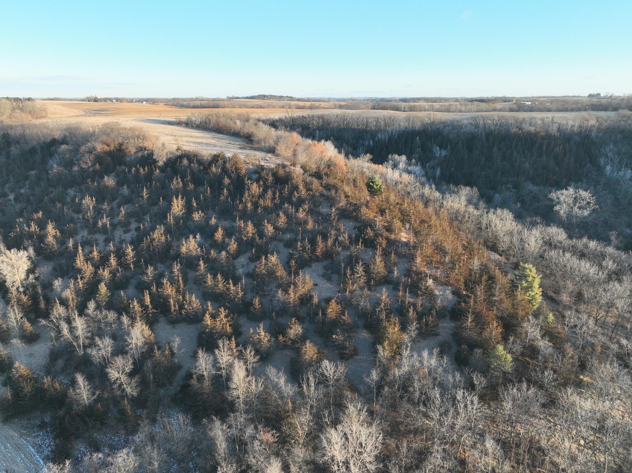 DJI_0094.JPG