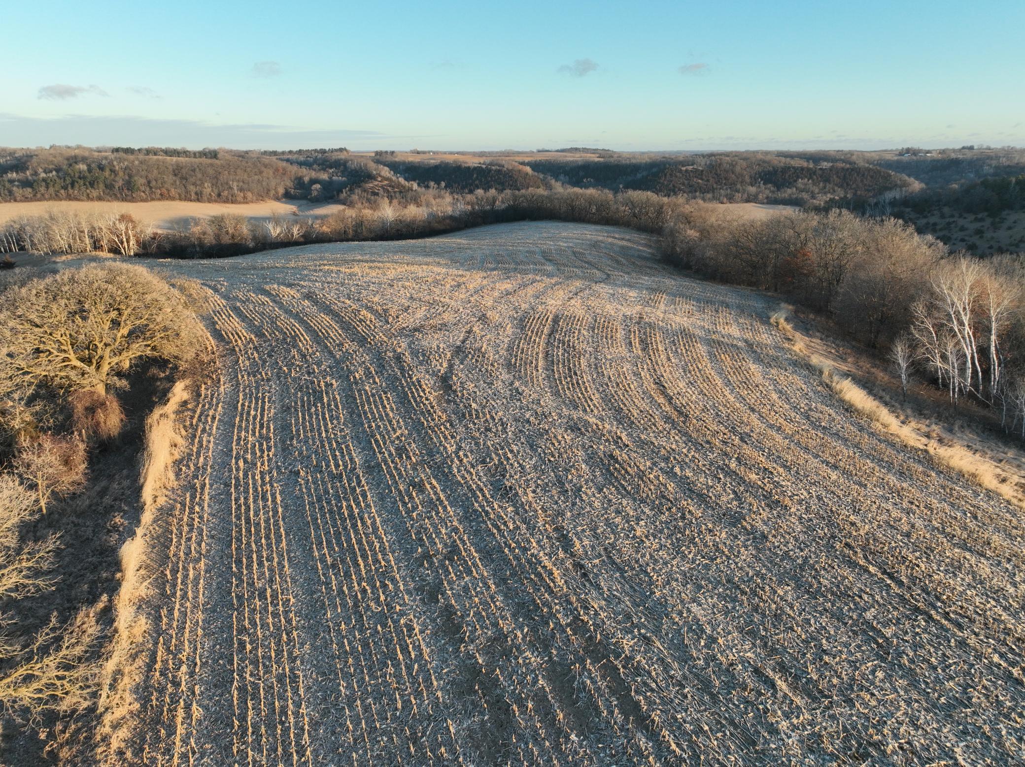 DJI_0062.JPG