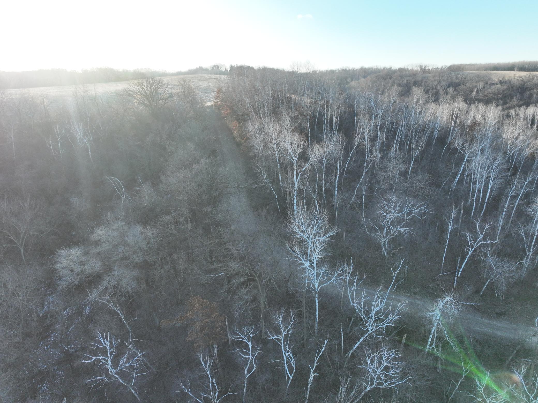 DJI_0169.JPG