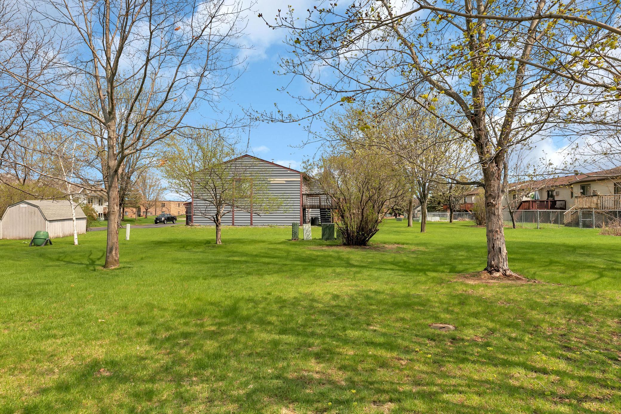 View of backyard in summer