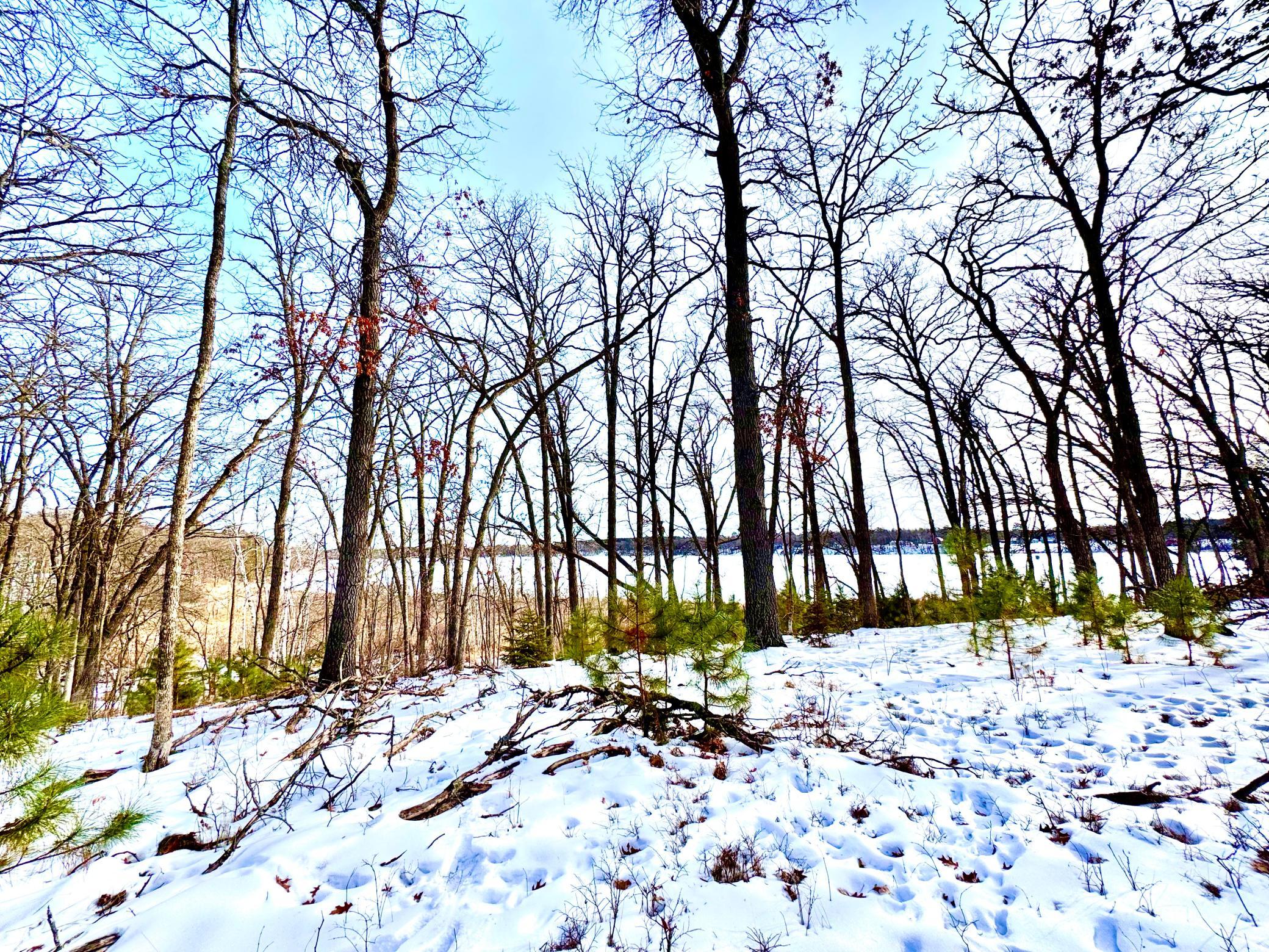 Facing east towards Stocking Lake