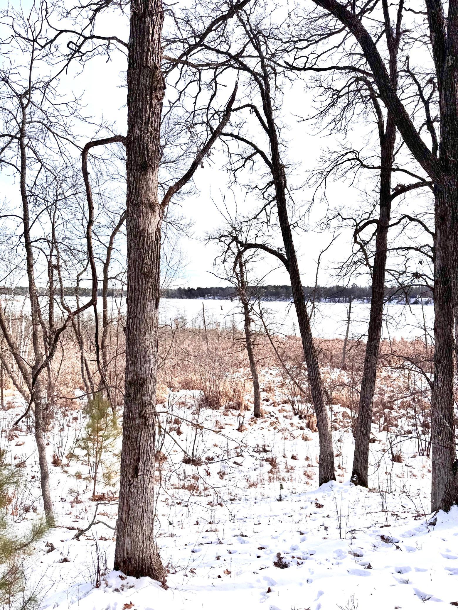 Lake Level