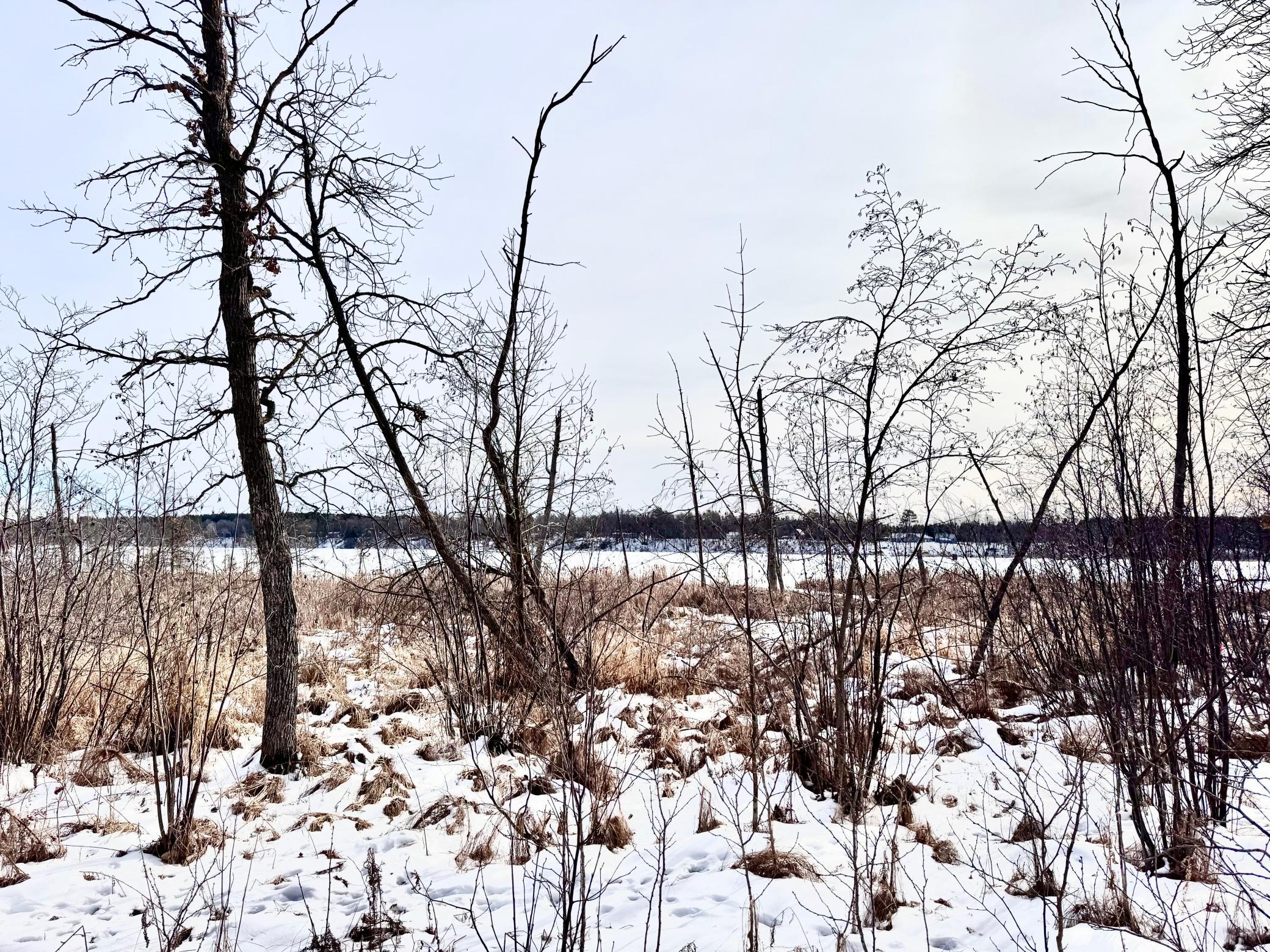 Lake Level
