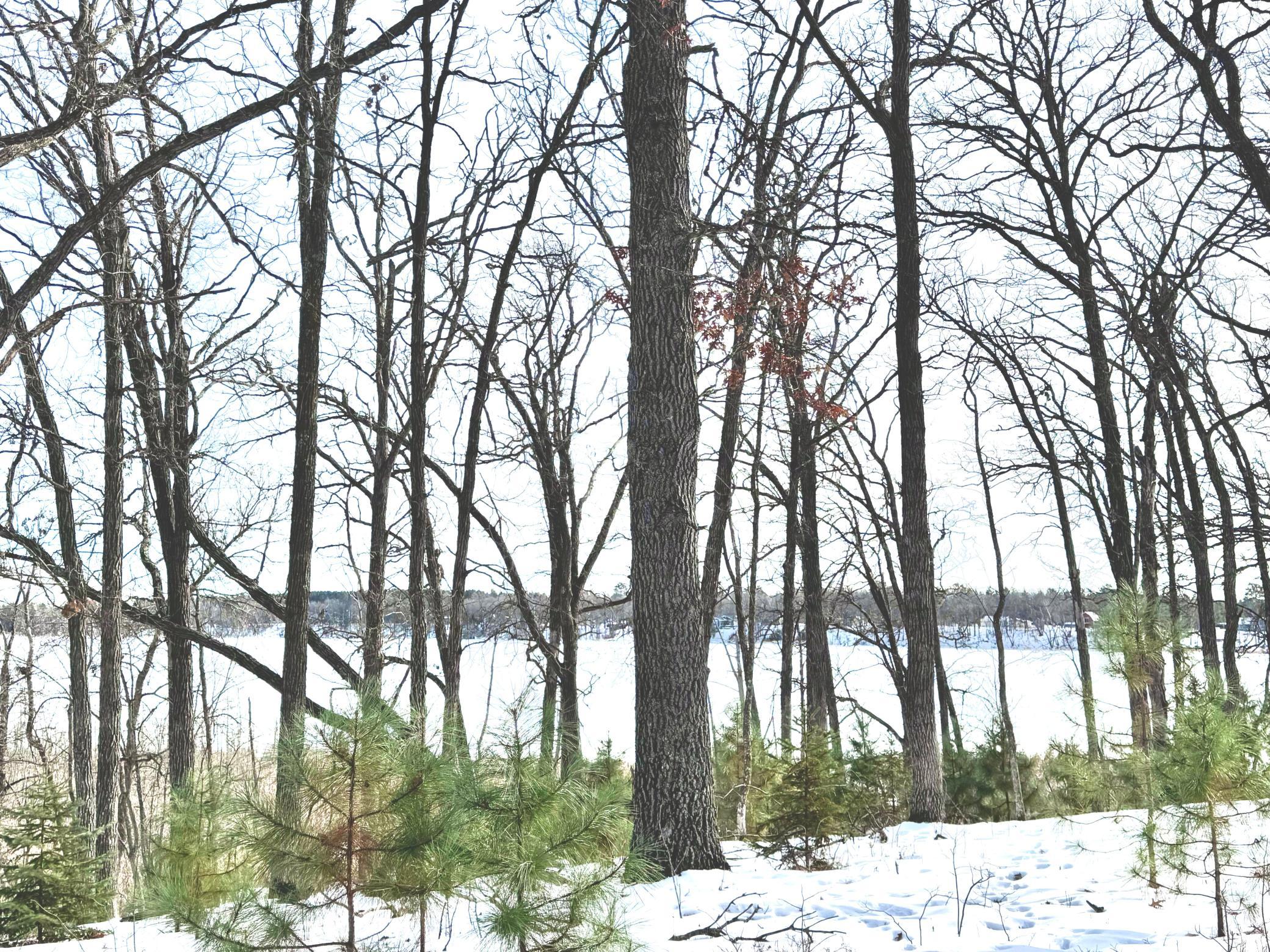 Overview of Stocking Lake
