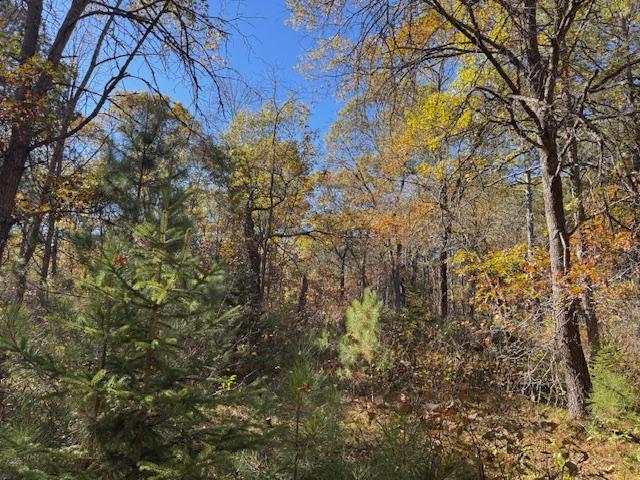 Mixture of Pine, Maple, Oak & more
