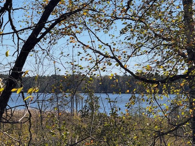 Facing Lake