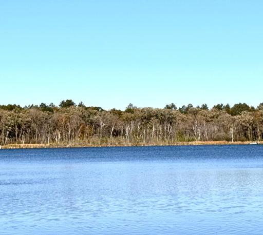 TBD 141st Avenue, Menahga, MN 56464