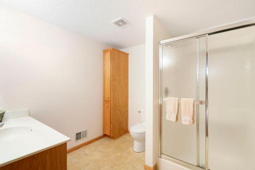 Lower level bathroom spacious in size with glass shower doors w/ privacy glass, oak linen tower and vanity cabinet