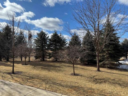 Superb view of front yard with trees and open space