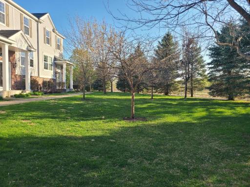 Superb view of front yard with trees and open space