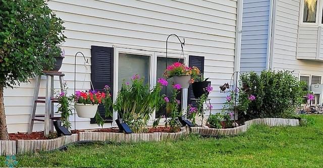 Summer Exterior