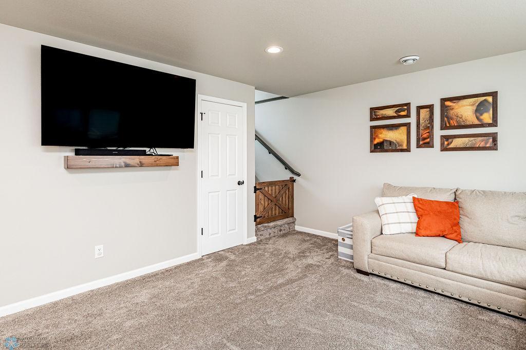 Lower level Family Room