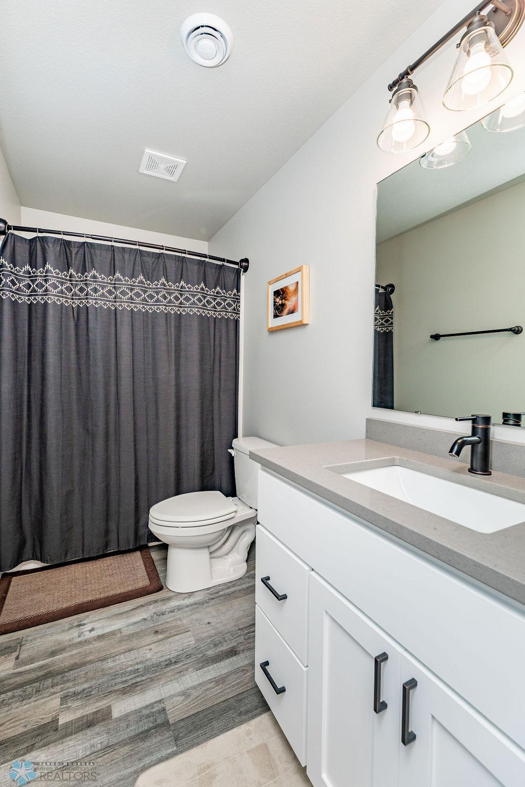 Lower level Bathroom