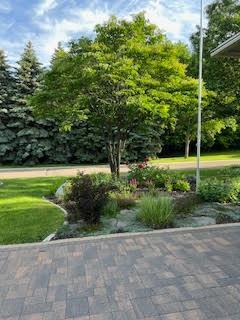 Beautiful summer landscaping in front yard