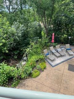 Beautiful summer landscaping in backyard that gives pool privacy