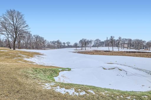 18767 Bearpath Trail, Eden Prairie, MN 55347