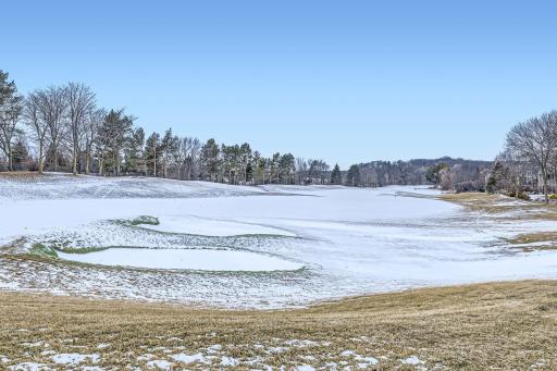 18767 Bearpath Trail, Eden Prairie, MN 55347