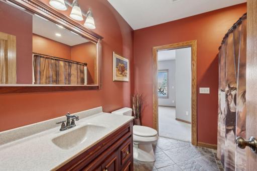 9177 Gowan Avenue NW, Maple Lake, MN 55358