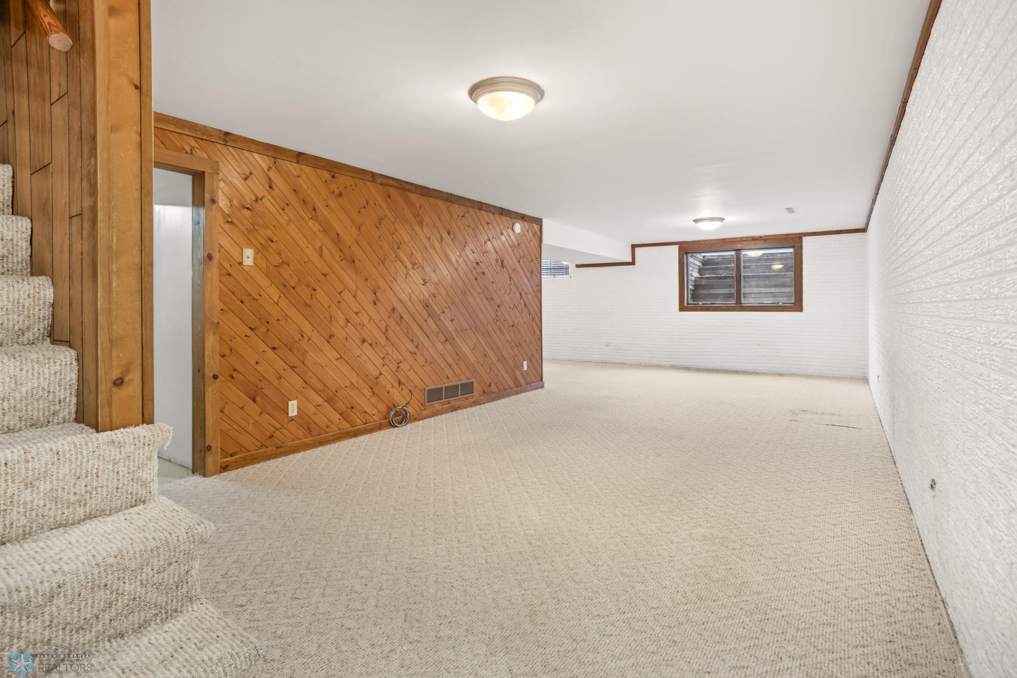 Basement Living Room