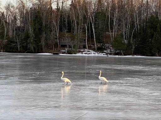 Wildlife views abound and are year round here! Don't miss a season here!