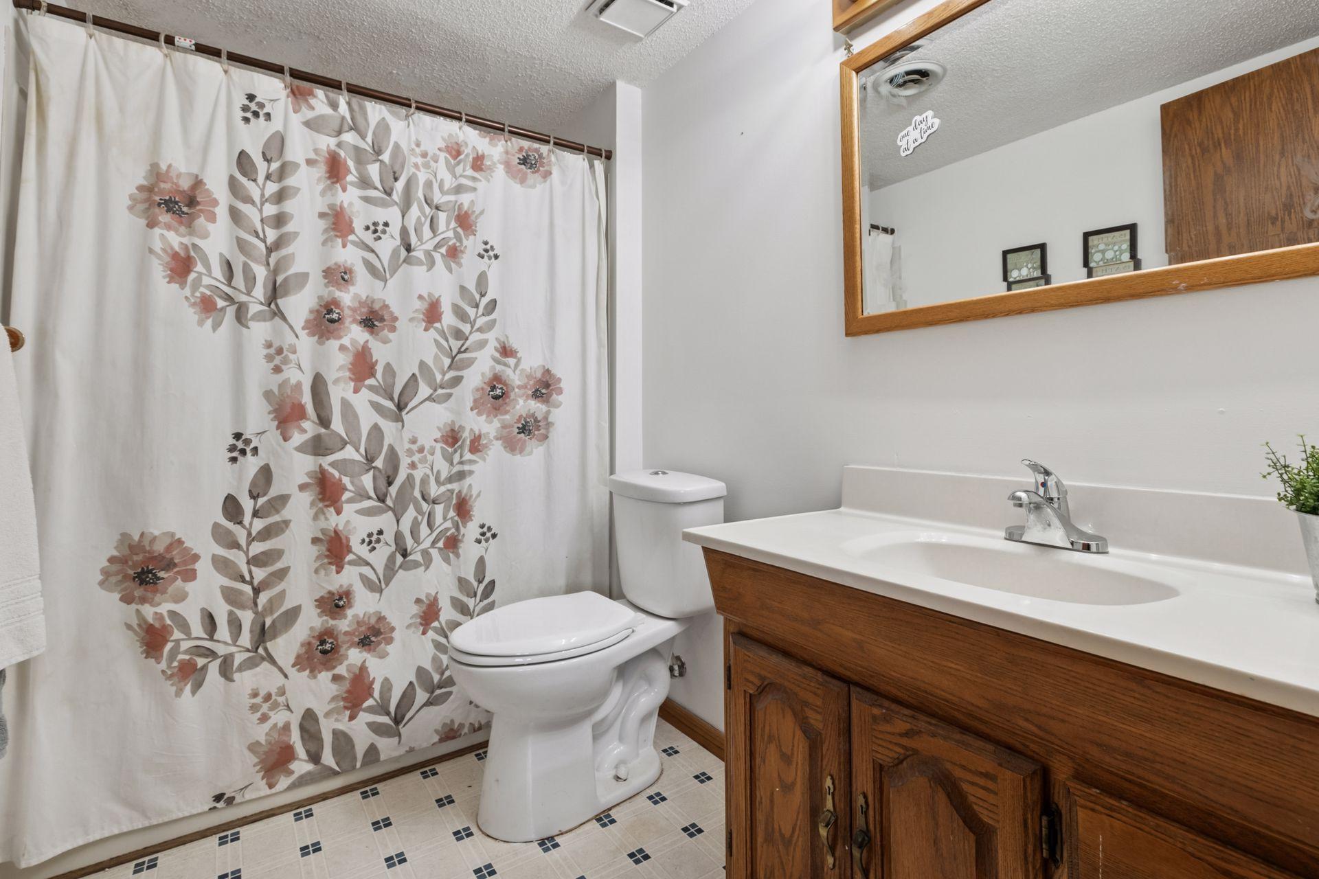 Lower Level Bathroom