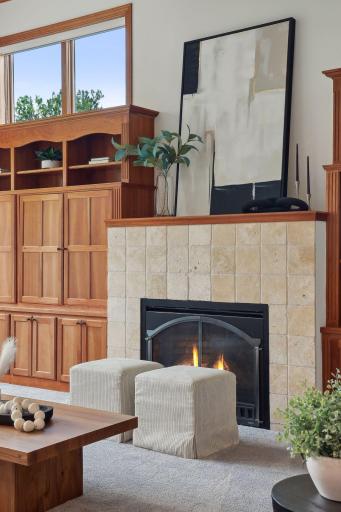 Custom built ins and bookshelves