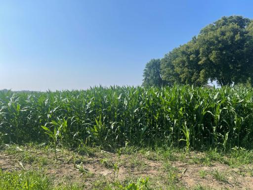 XXX 590th, Bay City, WI 54723
