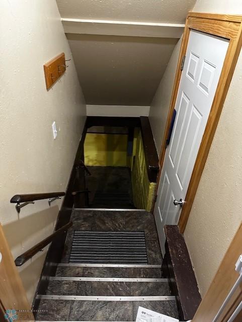 North Side Door/Basement Entrance