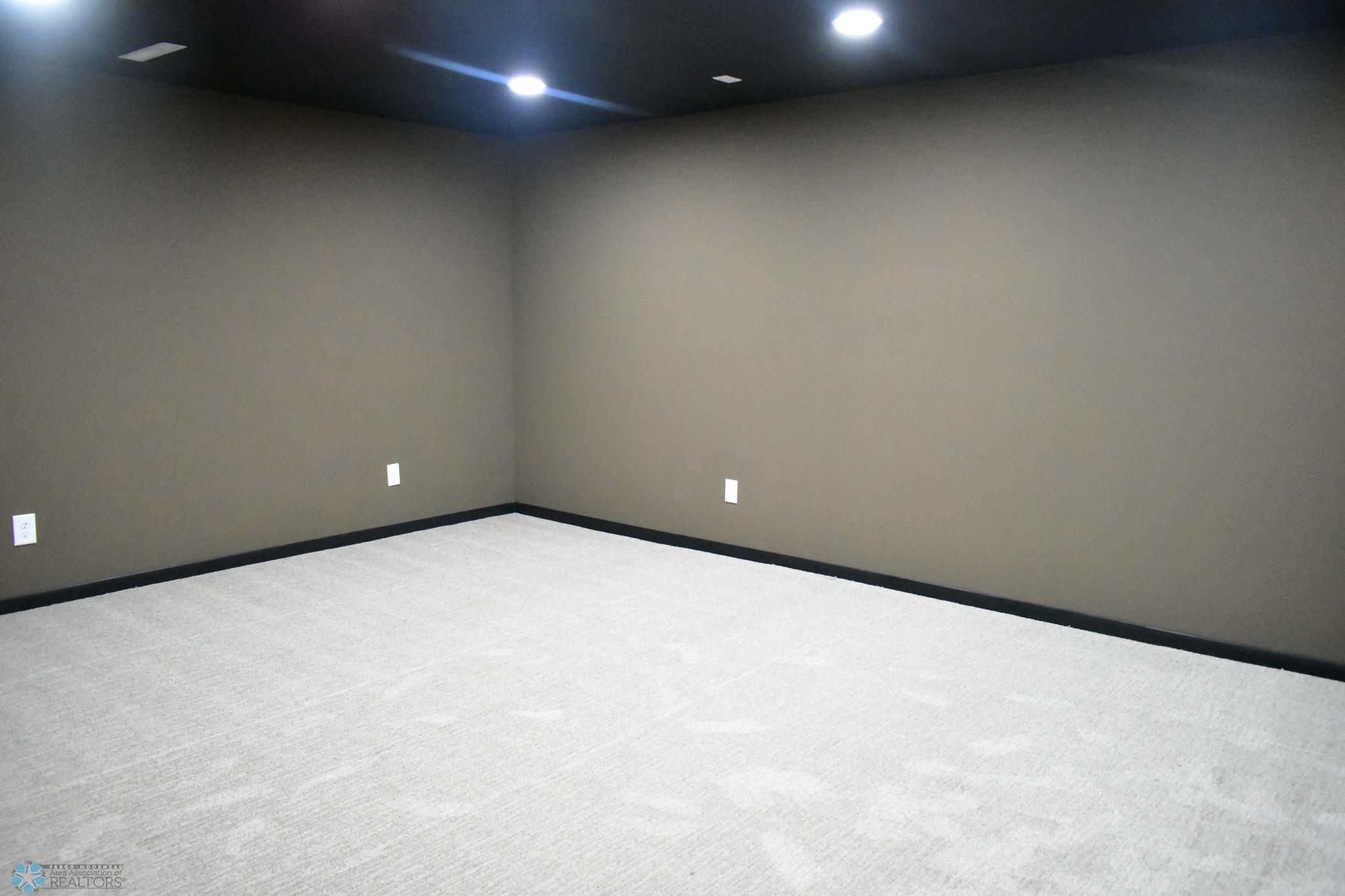 Theater Room/Bonus Room