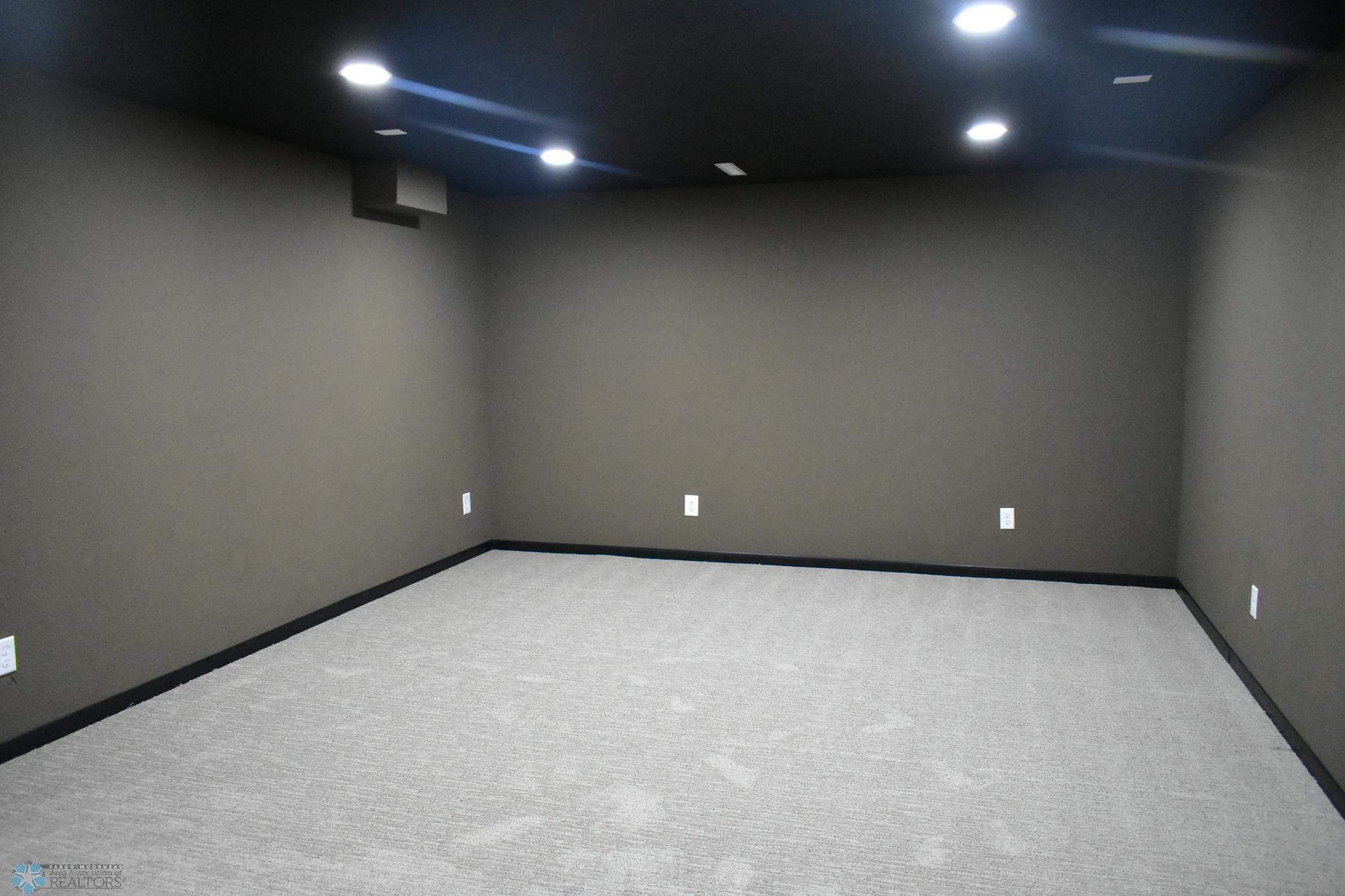 Theater/ Bonus Room